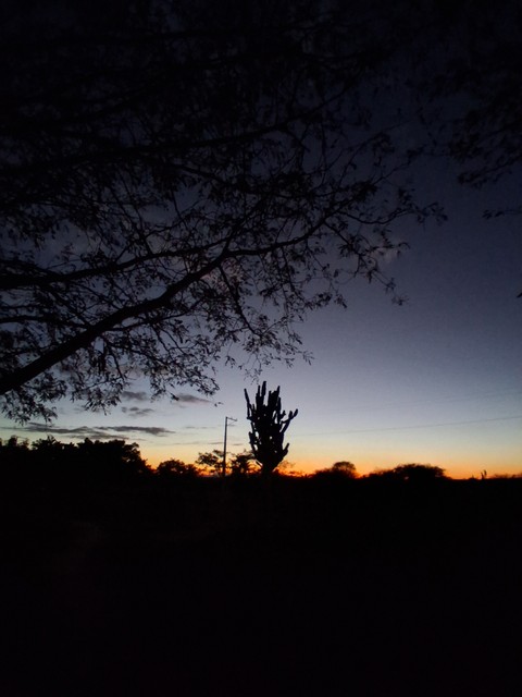 tapety sunset, leaf