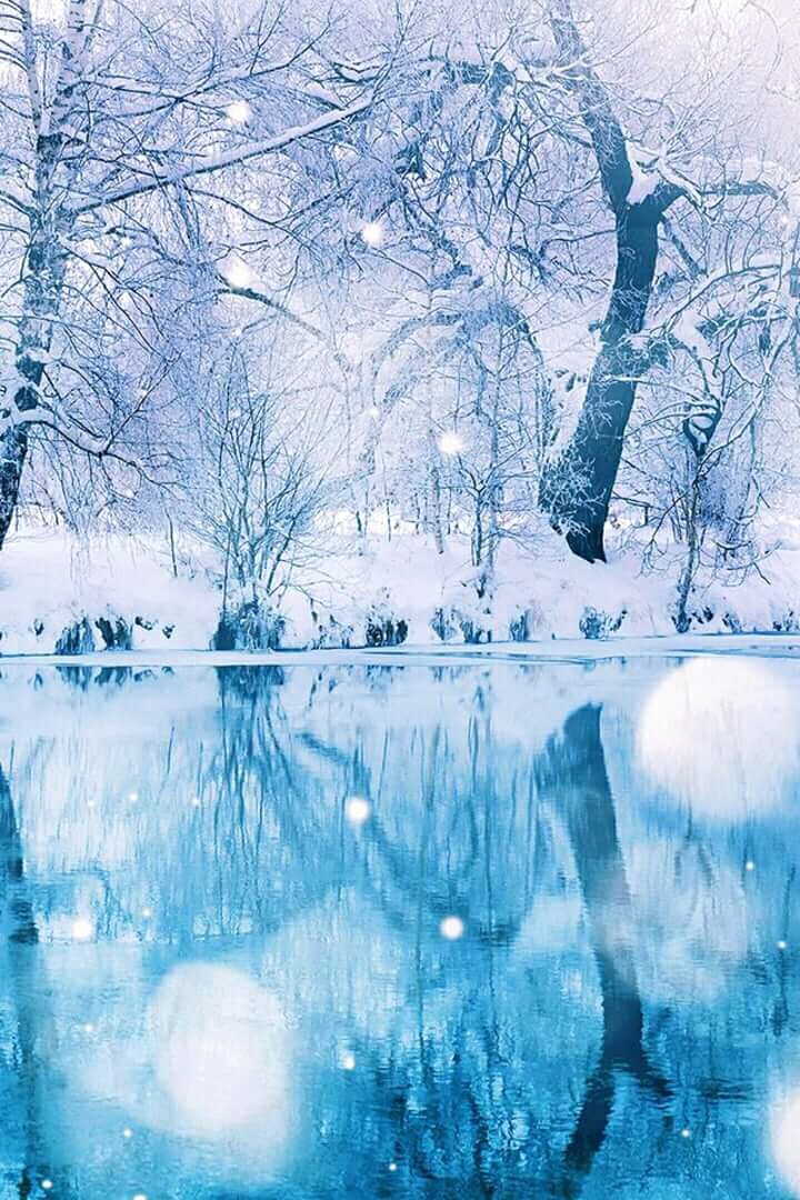 Winter beauty