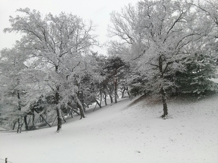 겨울공원