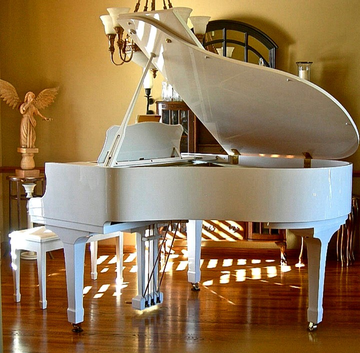 The Shadows Around the Piano