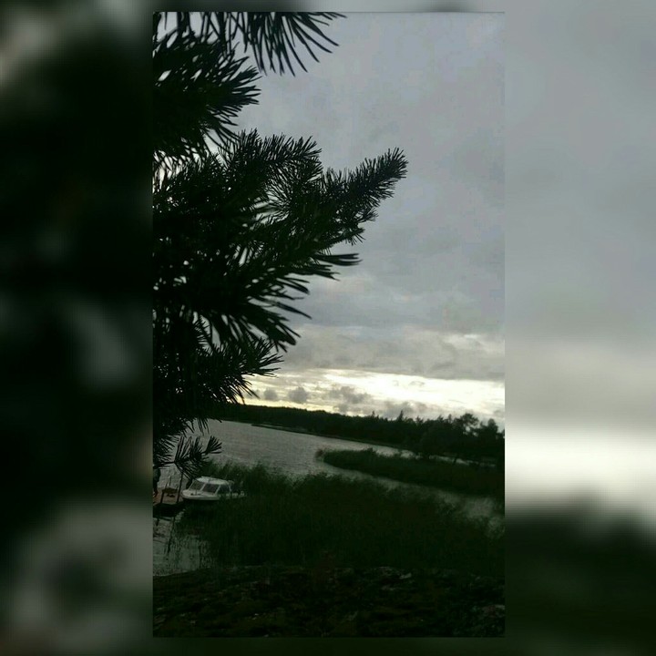 island