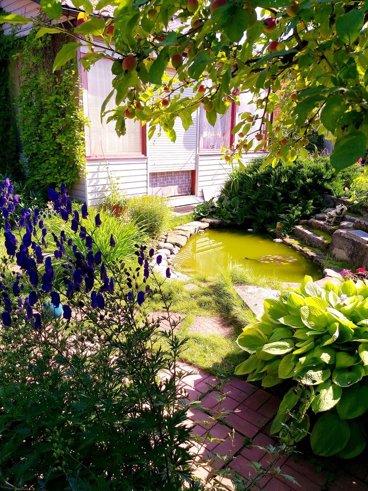 garden