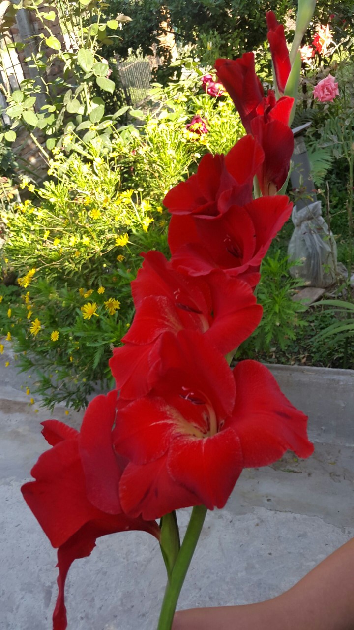 Bellezas de la naturaleza.