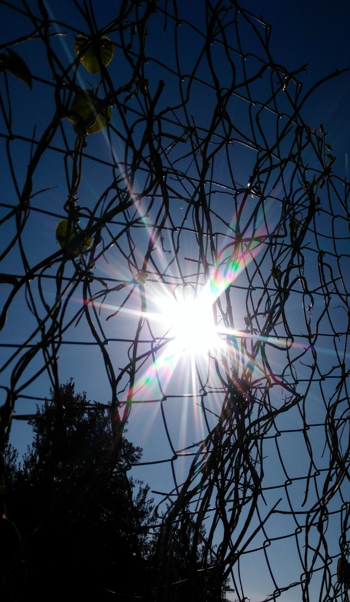 sunshine