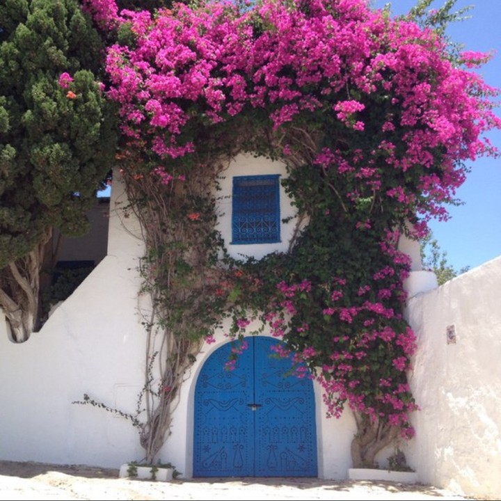 fleurs