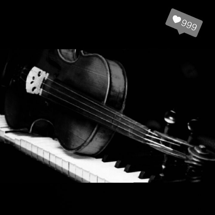 violon