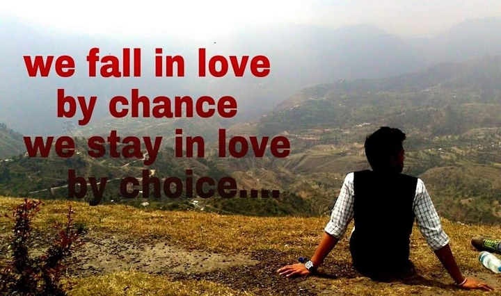 love