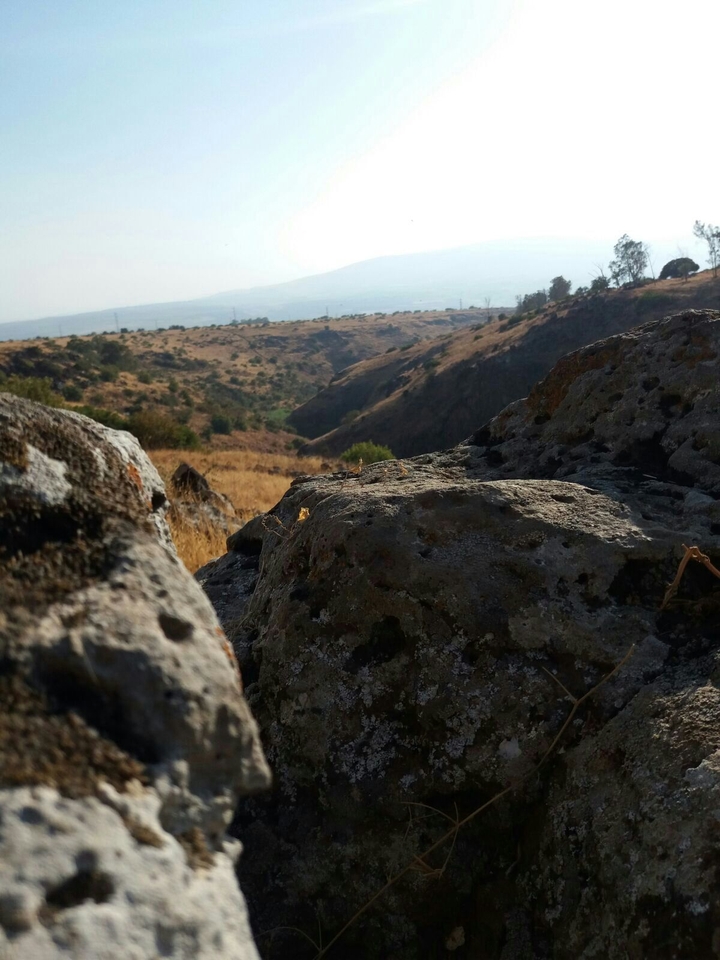 rocks