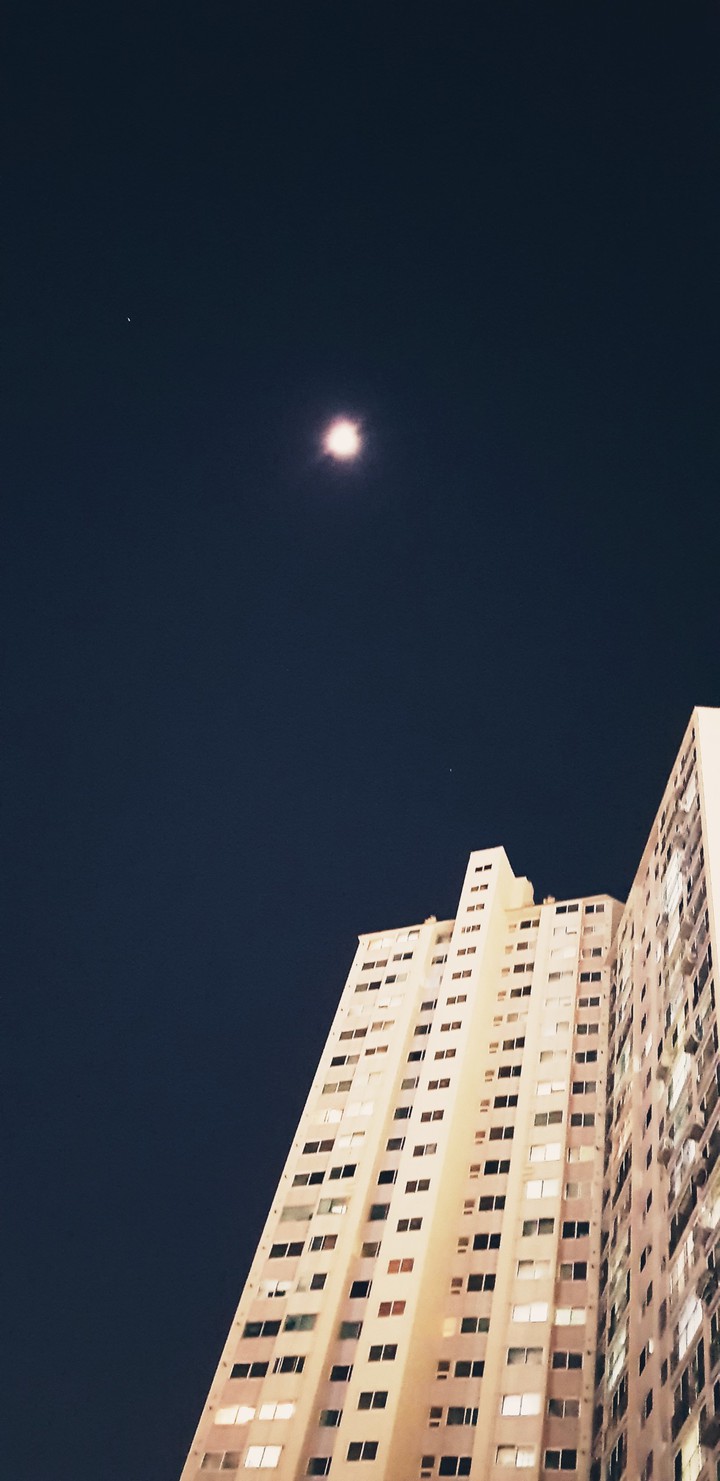 M o O n   On the Apartment