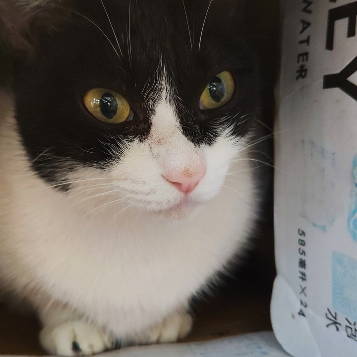 驚訝