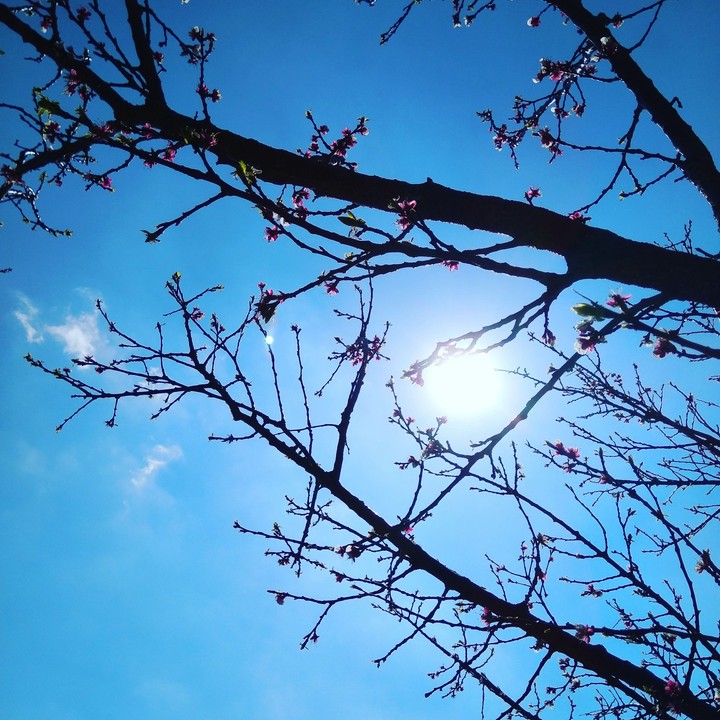 Hope
