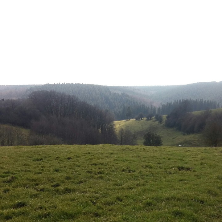paysage