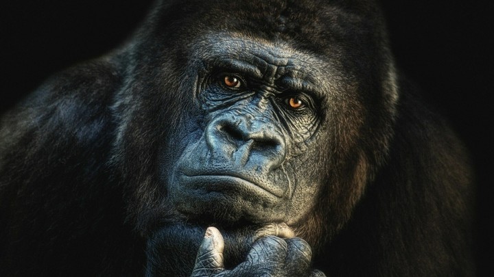 thinking