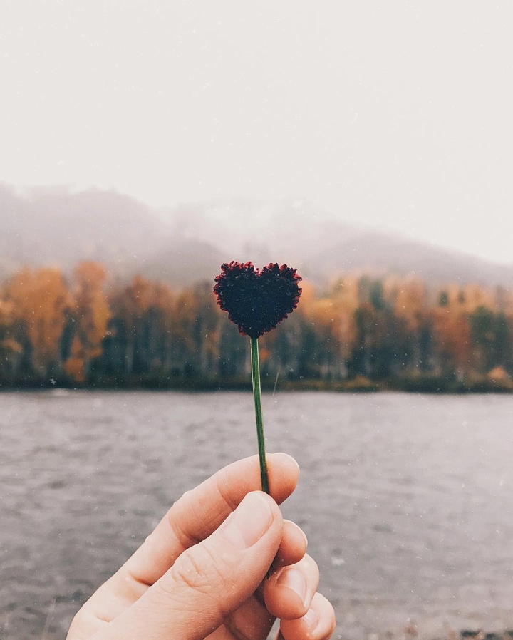 autumm