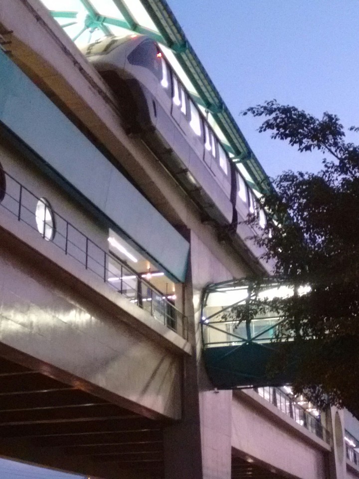 monotrilo