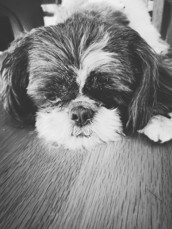 baby