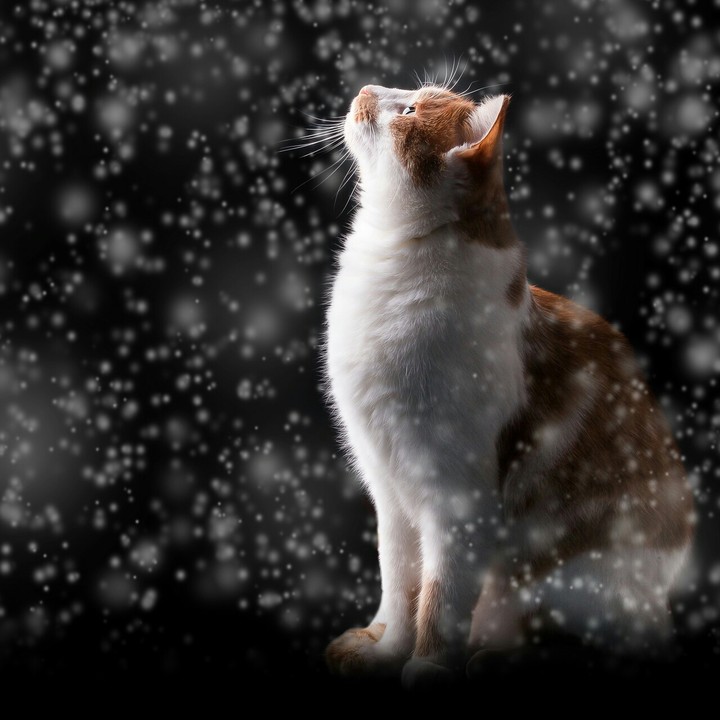 winter is coming