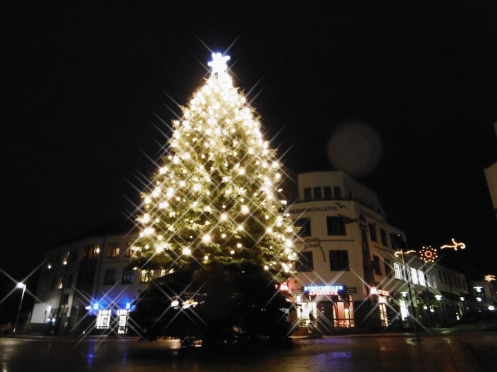 Weihnachtsbaum von Sassnitz/Rügen