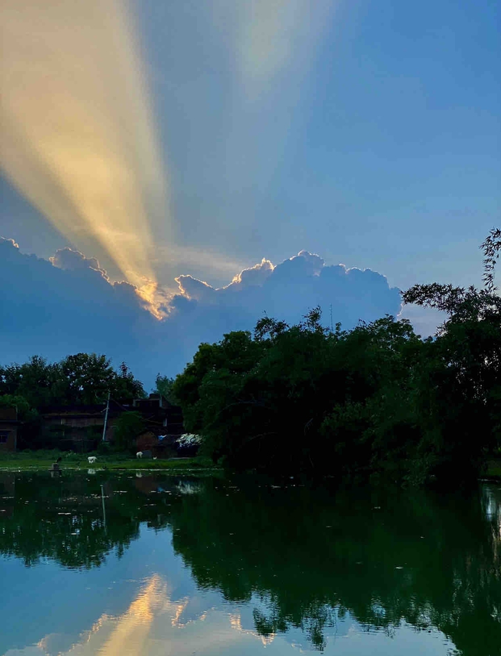 beautiful evening