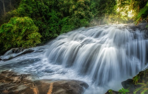 stream