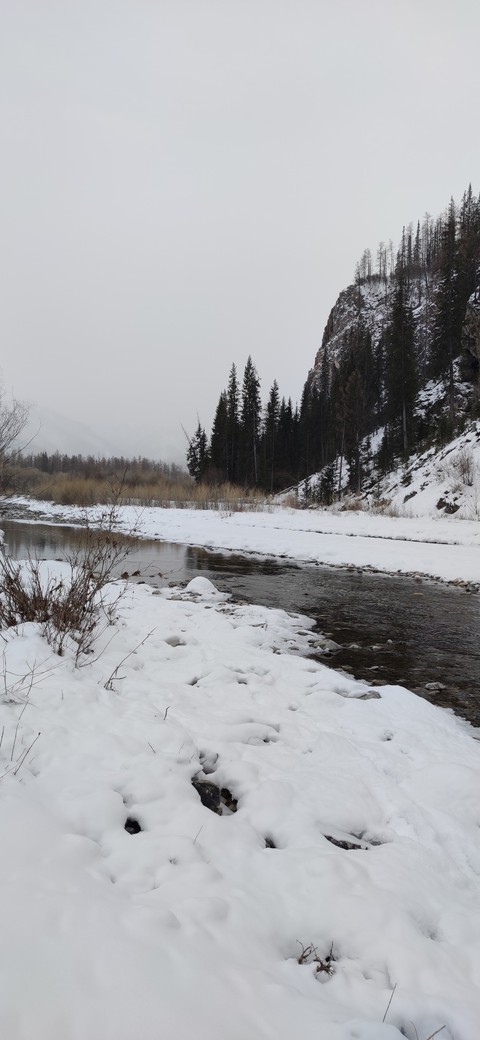 winter in Mongolia