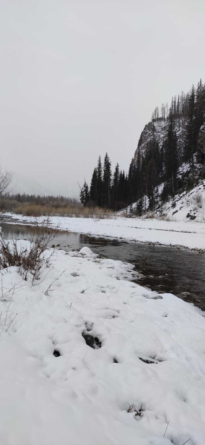 winter in Mongolia