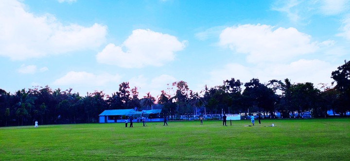 field