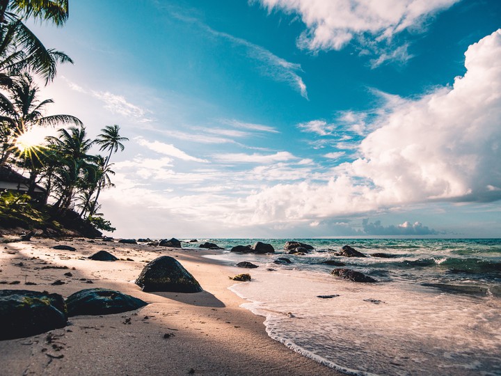 sea nature