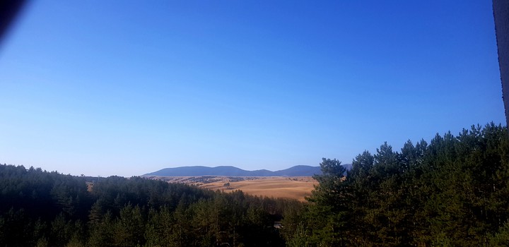 nature
