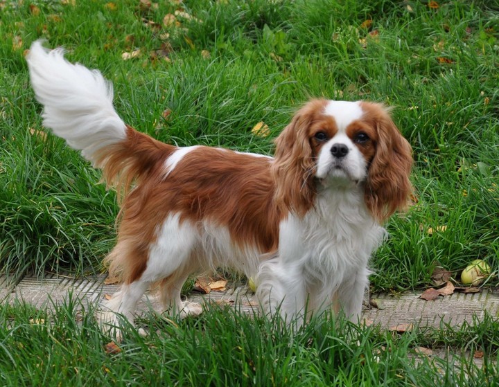 .
