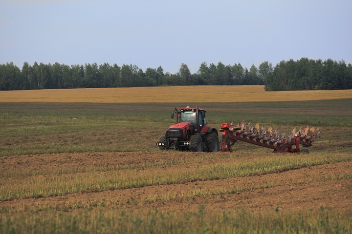 mtz
