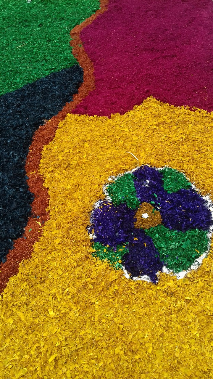 Artes Colorida