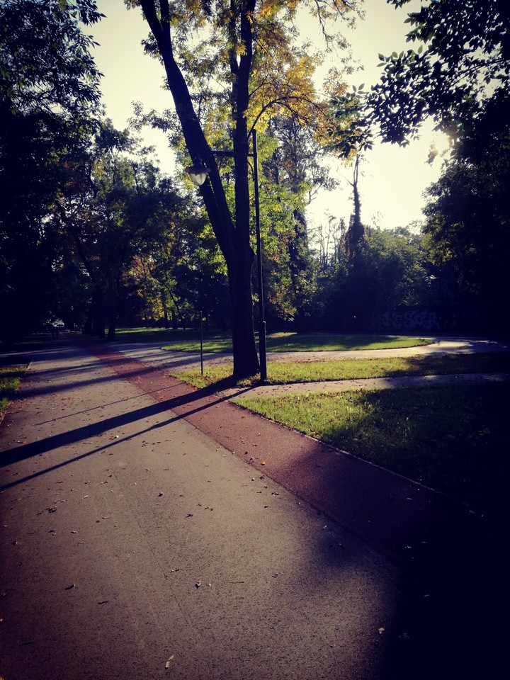 Park