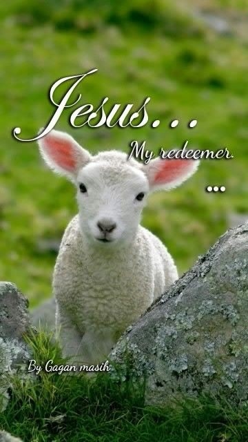Jesus My Redeemer