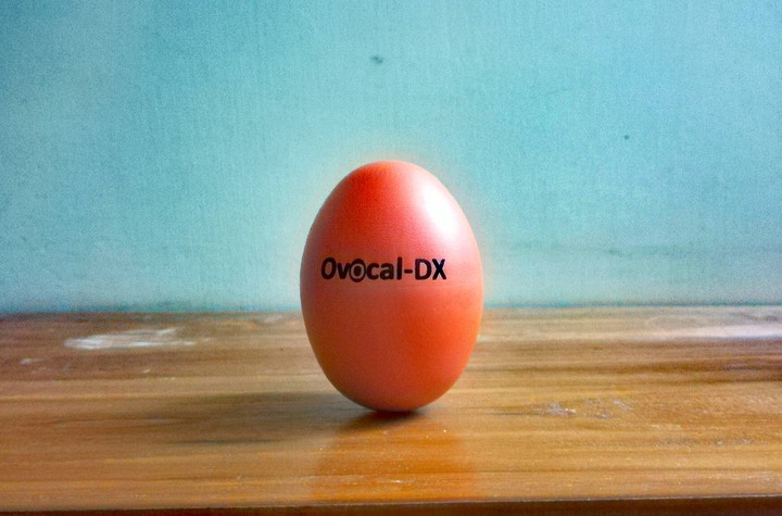 EGGY LOVE