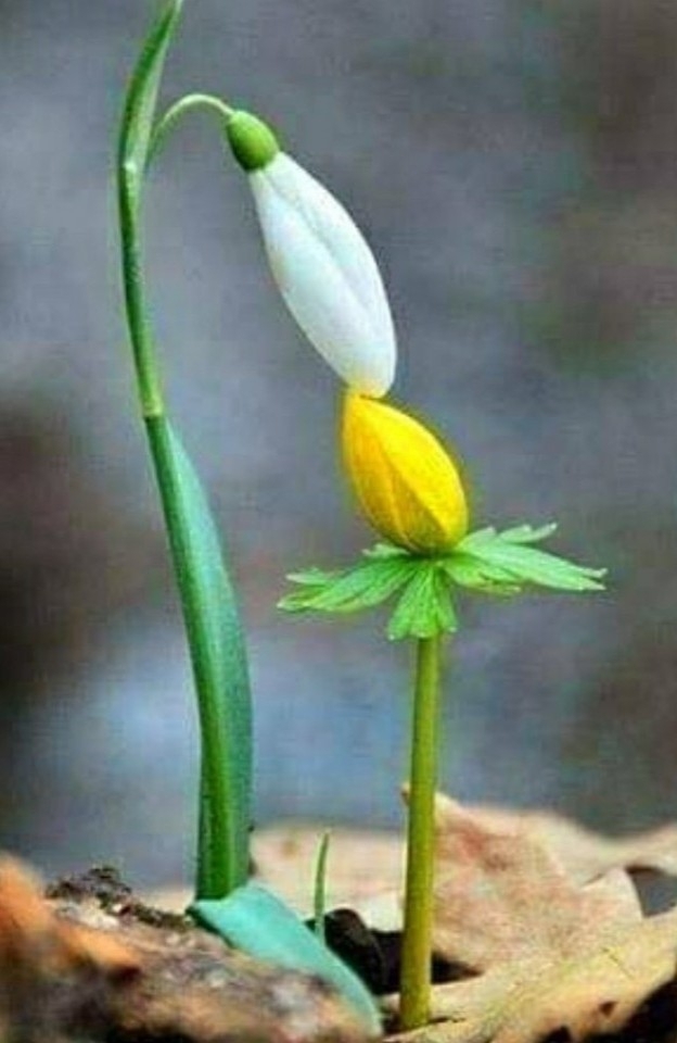 ,