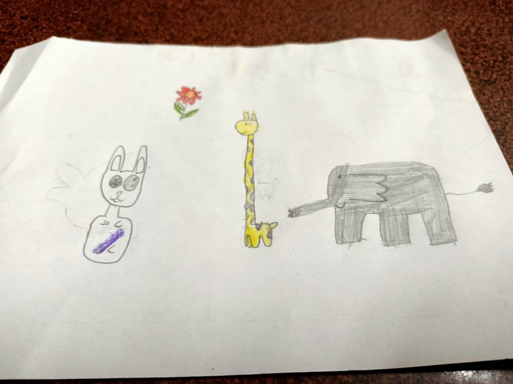 animals