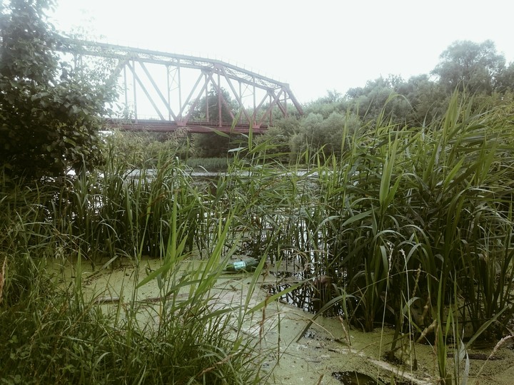 Tower through the river Same