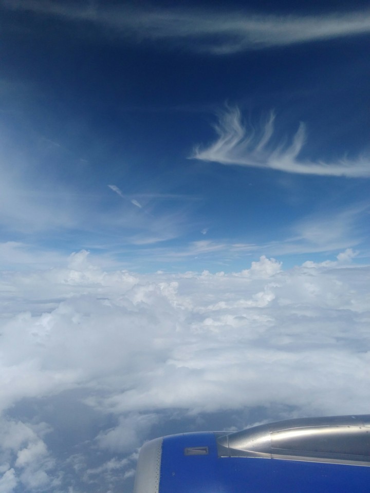 Up above the sky