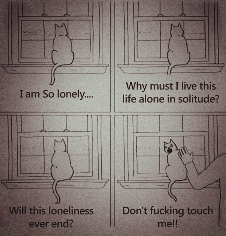 someone who