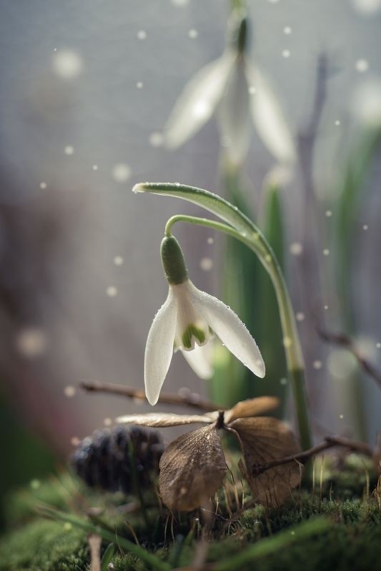 Mysterious spring