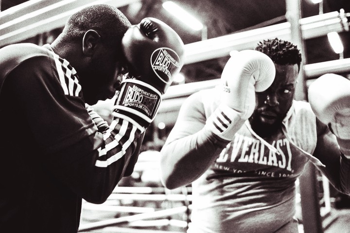 boxers