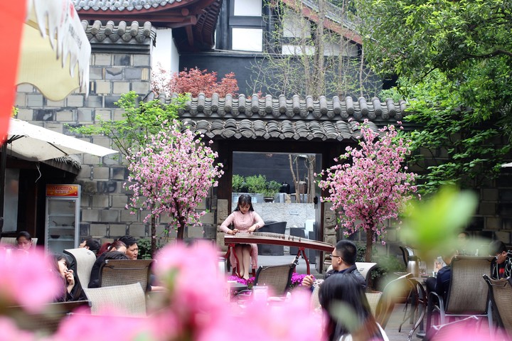 china Spring