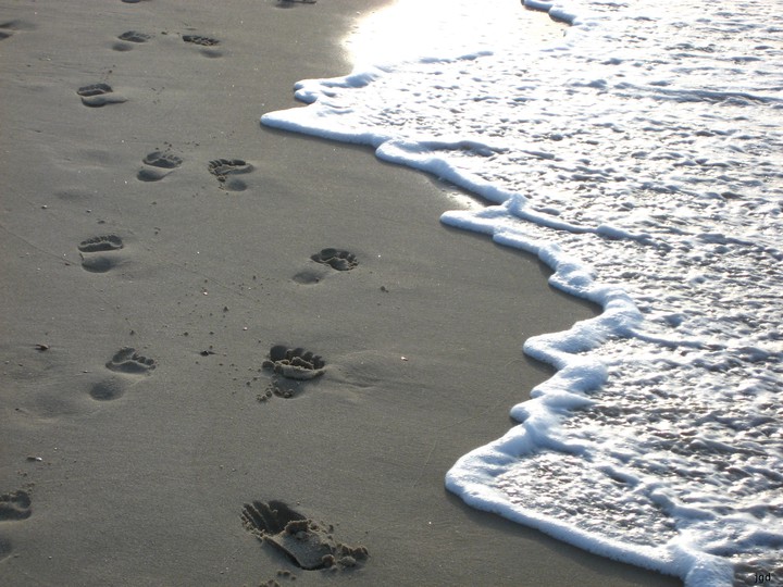 Footprint