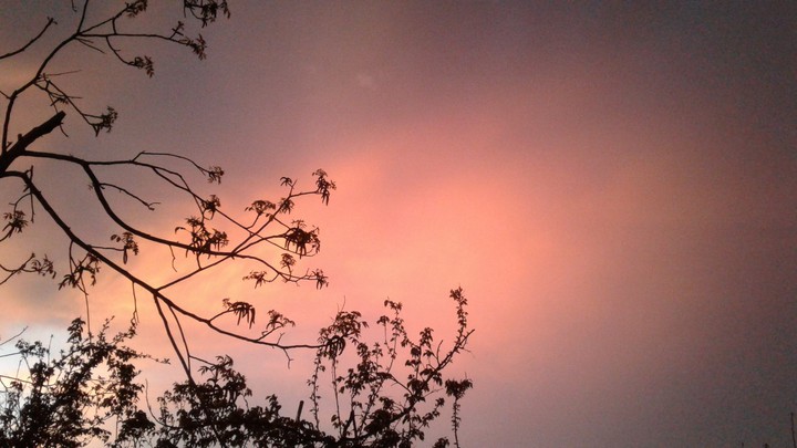 manibayat808@gmail.com