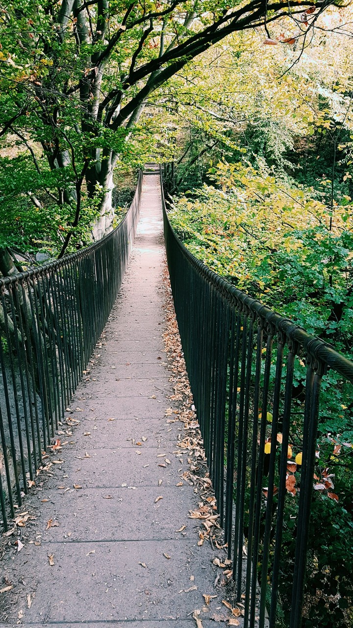 Der Weg ins Licht