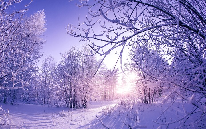 hinvierno