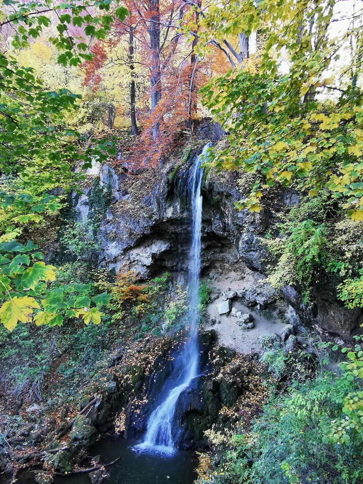 autumn ?