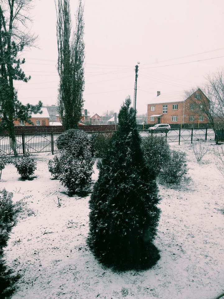 ☃️снежок