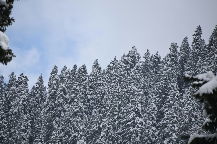 Paradise  Kashmir